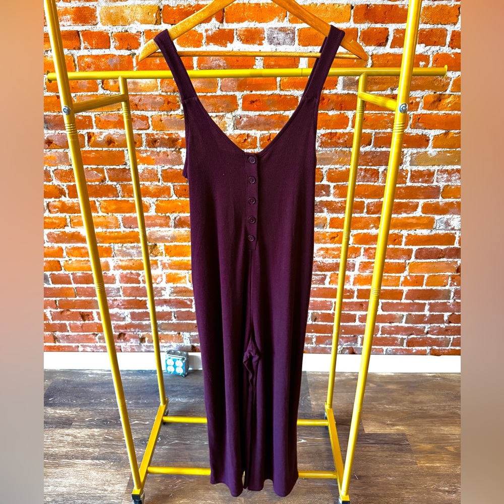Z Supply Sleeveless Button-Front Jumpsuit in Deep Burgundy
